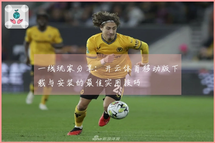 一线玩家分享：开云体育移动版下载与安装的最佳实用技巧