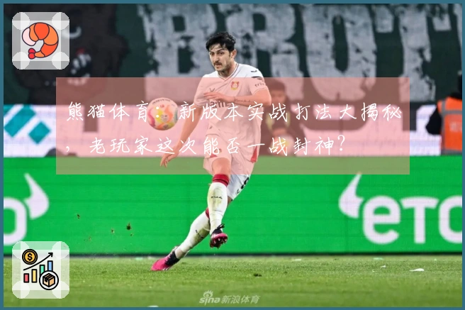 熊猫体育：新版本实战打法大揭秘，老玩家这次能否一战封神？