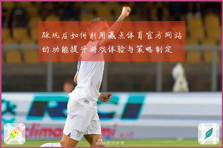 踩坑后如何利用赢点体育官方网站的功能提升游戏体验与策略制定